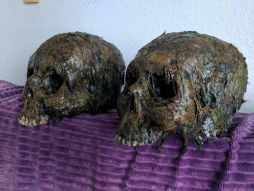 Skulls